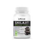 BIOHERBS Shilajit 20% ACIDE FULVIQUE, 60 gélules