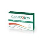 FARMAVANS GASTRODYS, 10 Gélules